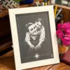 Framed Stillet Photos