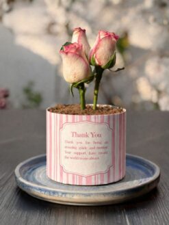 cake-bouquet-2-photo1-