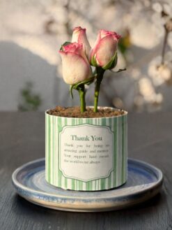 cake-bouquet-3-photo1-