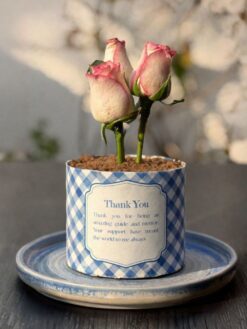 cake-bouquet-4-photo1-