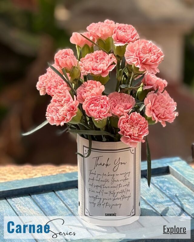 Carnae.website.home