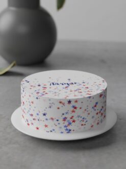 ZAF00042B.celebration.flat.cake.Minimalistic .series0000.front