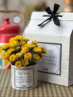 bloomlet1-6-pict1