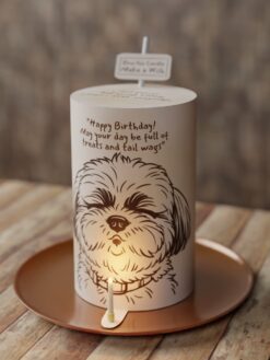 pet-makeawish-front.