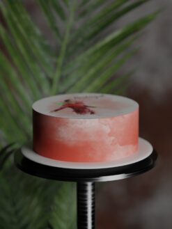 ZAF00059D.celebration.Flat.cake.Its a Goal.series0000.frontV1