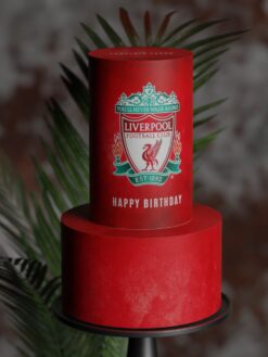 ZAT00059F.celebration.2tier.cake.Its a Goal.series0000.front
