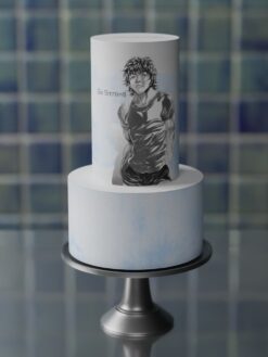 ZAT00072D.celebration.2tier.cake.Manga.series0000.front
