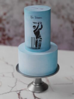 ZAT00081E.celebration.2tier.cake.Cricket.series0000.front