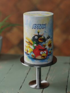 ZC000086S.celebration.Tall.cake.Angry Bird.series0000.front