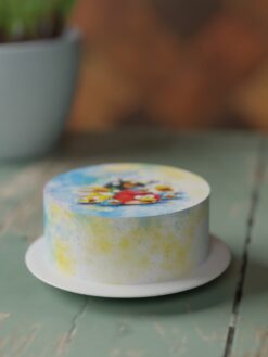 ZCF00086S.celebration.Flat.cake.Angry Bird.series0000.front